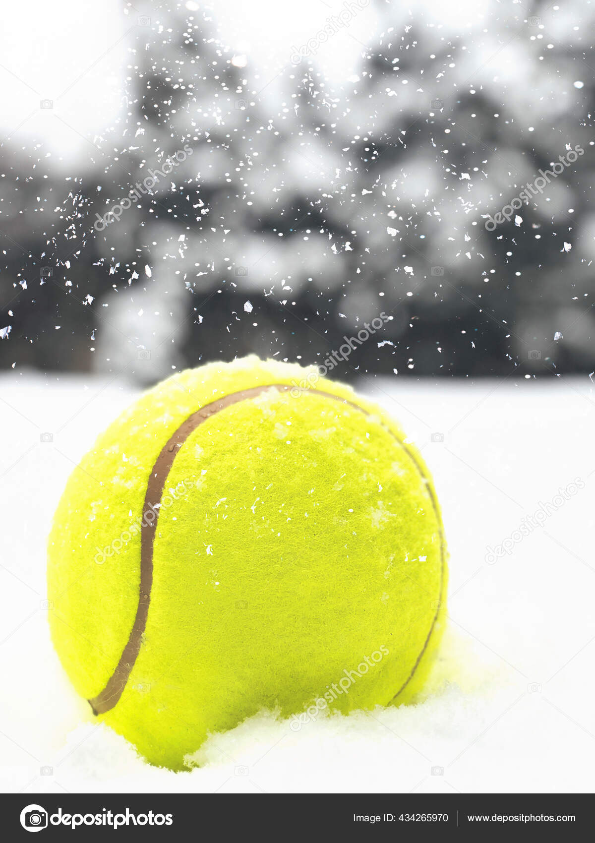 Tennis boule de Noël sur la neige sur fond d'arbres de Noël, et