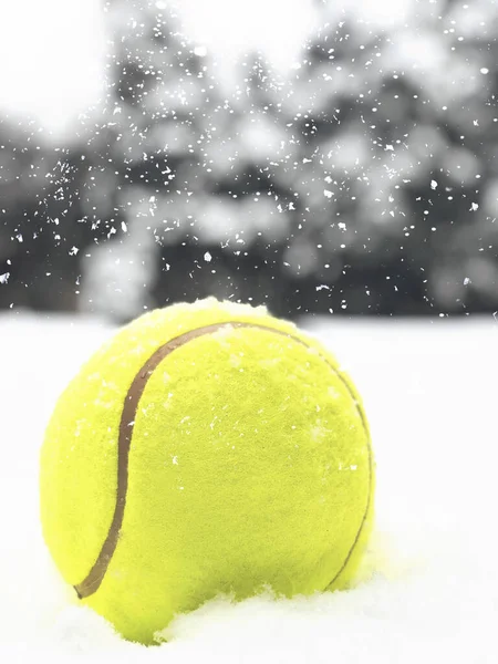 Tennis christmas ball on the snow on Christmas trees background, and falling snowflakes. Royalty Free Stock Photos