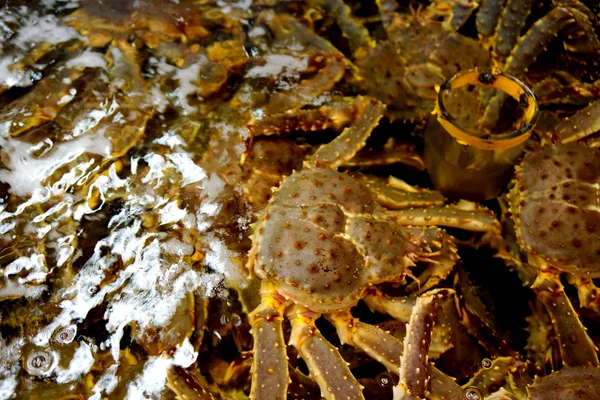 Giant crabs Morning market Hokkaido — Stock Photo, Image
