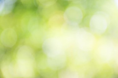 doğa yeşil bokeh arka plan