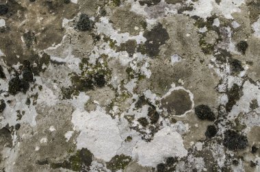  Arka plan kaya dokusu