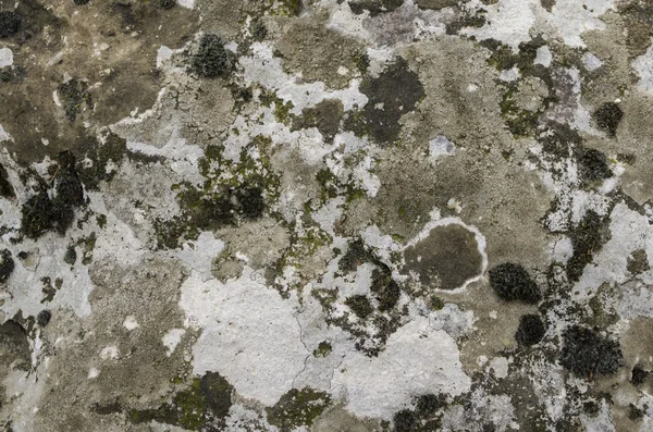  Arka plan kaya dokusu