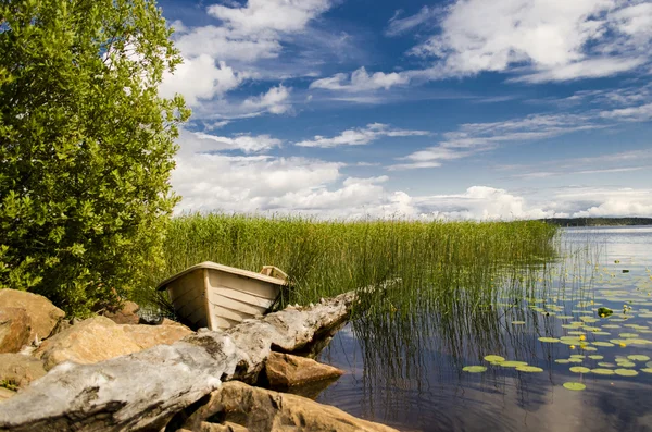  Mavi gökyüzü ve denizin kırsal kesimde