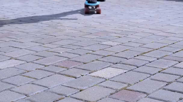 Girl With Skateboard — Stock Video