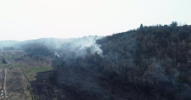 消防士が森の中で火事を消す — ストック動画