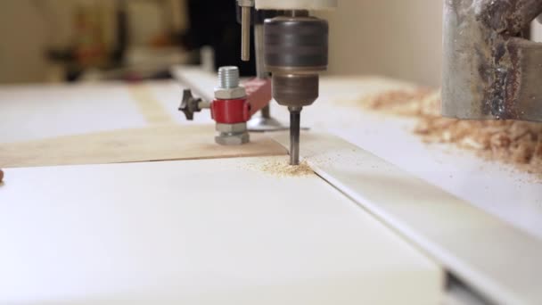 Fraisage Bois Sur Machine Automatique Moderne Travail Bois — Video