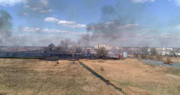 Camión Bomberos Llegó Para Extinguir Quema Hierba Seca Cerca Carretera — Vídeos de Stock