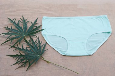Açık yeşil pamuklu kadın iç çamaşırları, tropikal yeşil yapraklı, tarafsız kumaş arka planının üzerine serilmişti. Minimum kadın hijyeni konsepti, yumuşak pastel iç çamaşırı, kadınlar için rahat kumaş.