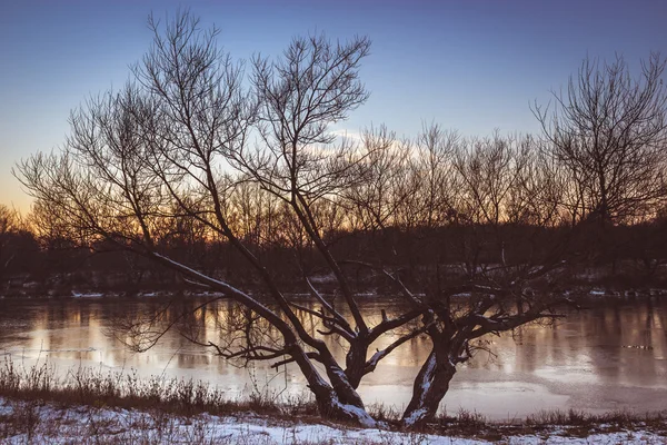 Sunset in Orel — Stock Photo, Image