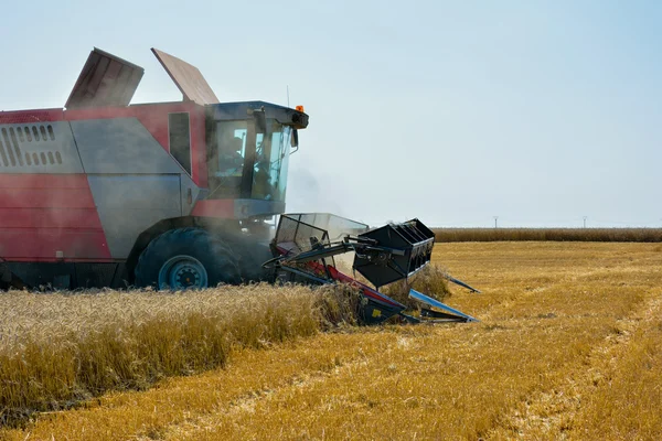 Combinare mietitrebbia raccolto campo di grano — Foto Stock