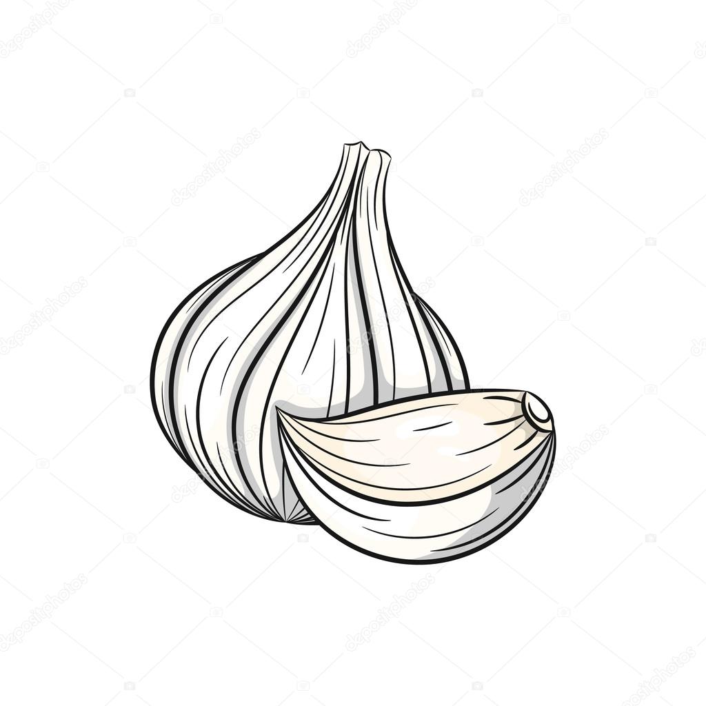 50 にんにく イラスト 無料の印刷可能なイラスト素材 50 にんにく イラスト 無料の印刷可能なイラスト素材