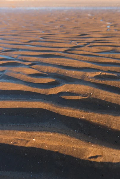 Ripple textures in the sand at sunset on a warm golden beach — Stock Photo, Image