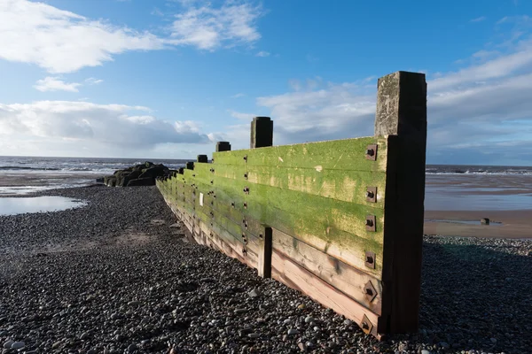 风化的木制海防墙 在阳光明媚的日子里覆盖着绿藻 — 图库照片