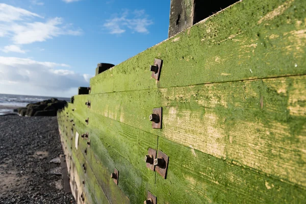 Cleveleys Anglie 2016 Rustikální Ošlehané Dřevěné Hradby Pokryté Zelenými Řasami — Stock fotografie