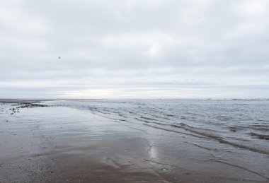 kasvetli bir bulutlu gün bir plaj akan rahatlatıcı ve yumuşak yatıştırıcı dalgalar