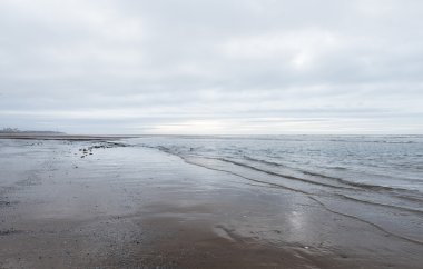kasvetli bir bulutlu gün bir plaj akan rahatlatıcı ve yumuşak yatıştırıcı dalgalar