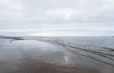 kasvetli bir bulutlu gün bir plaj akan rahatlatıcı ve yumuşak yatıştırıcı dalgalar