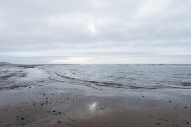 kasvetli bir bulutlu gün bir plaj akan rahatlatıcı ve yumuşak yatıştırıcı dalgalar