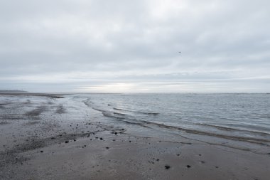 kasvetli bir bulutlu gün bir plaj akan rahatlatıcı ve yumuşak yatıştırıcı dalgalar