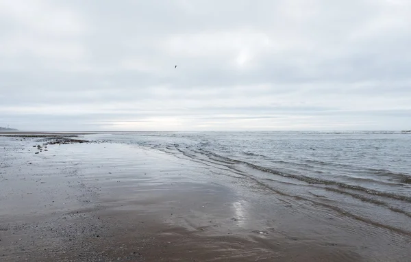 Avkopplande och mild lugnande vågor flyter in i en strand på en dyster mulen dag — Stockfoto