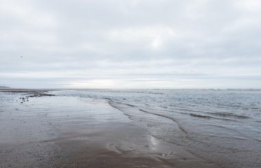 kasvetli bir bulutlu gün bir plaj akan rahatlatıcı ve yumuşak yatıştırıcı dalgalar