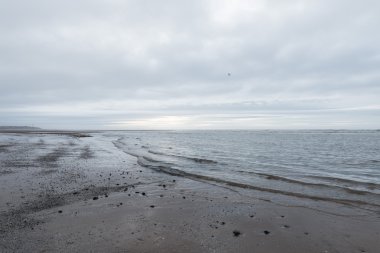 kasvetli bir bulutlu gün bir plaj akan rahatlatıcı ve yumuşak yatıştırıcı dalgalar