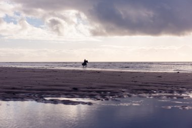 Mor bulutlu kumsalda gün batımında ücretsiz bir kadın binme silüeti