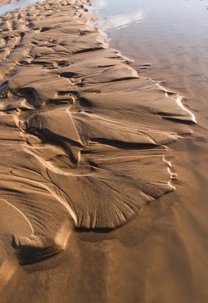 Gün batımında kum sıcak bir altın plajda dalgalanma dokular