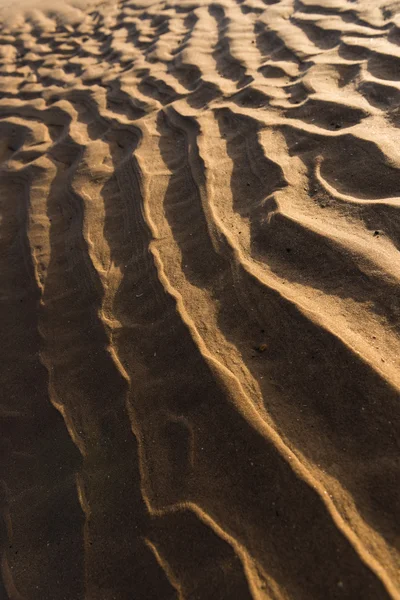 Gün batımında kum sıcak bir altın plajda dalgalanma dokular