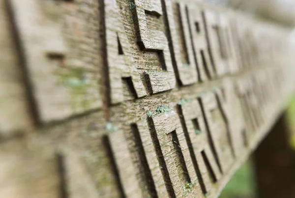 Letras talladas a mano en un banco de madera cubierto de musgo —  Fotos de Stock