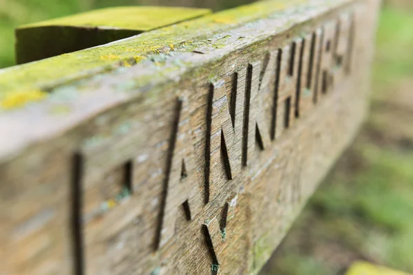 Hand carved chiseled letters on an old wooden bench covered in moss