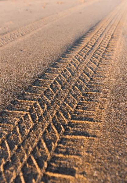 Huellas Neumáticos Que Salen Lejos Una Playa Arena Dorada Atardecer —  Fotos de Stock