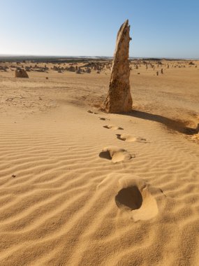 Batı Avustralya, Avustralya, 06/02/2015, Pinnacles çöl, Nambung Milli Parkı