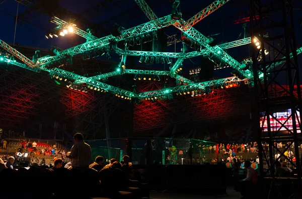 Emiratos Árabes Unidos Abu Dhabi 2014 Noche Lucha Ufc Abu —  Fotos de Stock