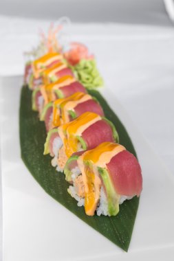 Japon orkinos suşi bir yaprağına hizmet