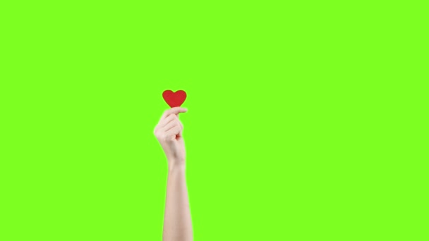 女性ブロガーは緑の画面に手に小さな赤いハートを保持します。ソーシャルネットワークのように。バレンタインデー国際女性デー愛 — ストック動画