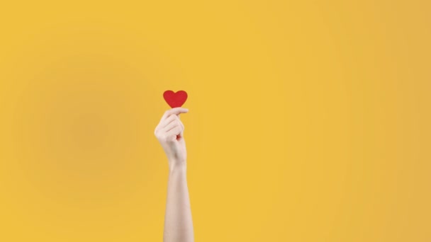 Женщина-блоггер держит в руке маленькое красное сердце на желтом оранжевом фоне. Как в социальной сети. День святого Валентина, международный женский день, любовь — стоковое видео