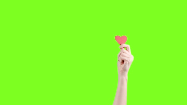 Женщина-блоггер держит в руке маленькое красное сердце на зеленом экране. Как в социальной сети. День святого Валентина, международный женский день, любовь — стоковое видео