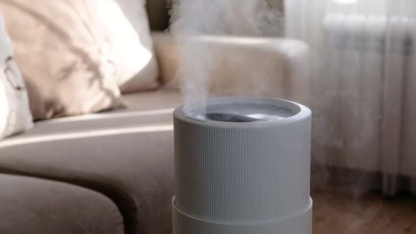 Moderno umidificatore d'aria, diffusore di olio aromatico a casa. Migliorare il comfort di vivere in una casa, migliorare il benessere. Tecnologia a vapore ad ultrasuoni. — Video Stock