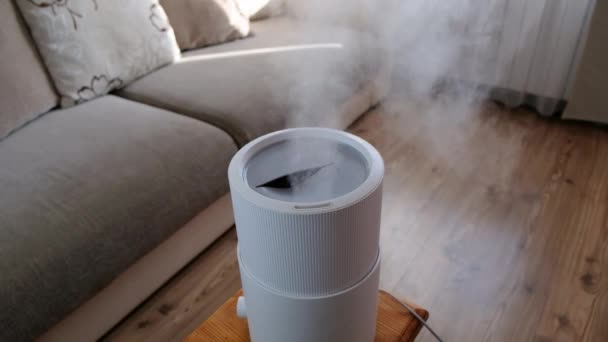 현대적 인 공기가 습기로부터 나온 증기, 집에서는 향기 기름이 발산 된다. 집에서 사는 것의 편안 함을 개선하고, 웰빙을 개선하는 것입니다. 초음파 증기 기술. — 비디오