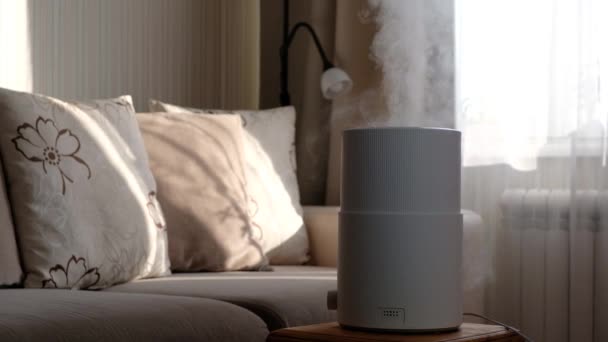 Humidificateur d'air moderne, diffuseur d'huile d'arôme à la maison. Améliorer le confort de vie dans une maison, améliorer le bien-être. Technologie de vapeur ultrasonique. — Video