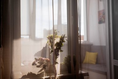 Evdeki vazoda bahar çiçekleri. Yaz baharı, mutlu yaşam konsepti. Rüzgâr perdeleri sallıyor.