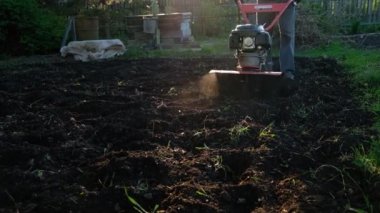 Adam toprağı motorlu ekiciyle sürüyor. Traktörün arkasında, bahçede motor bloğu var. Yerleştirme hazırlığı.