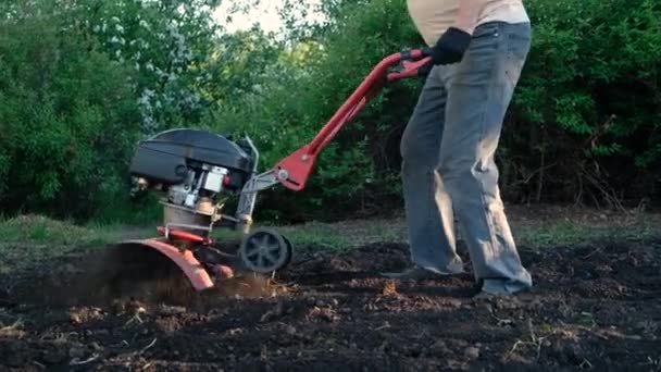 人はモーター栽培者と地面を耕す。歩道の後ろトラクター、庭のモーターブロック。植え付けの準備. — ストック動画