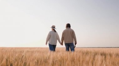 Tarlalara buğday eken genç çiftçiler. Aile meselesi. Tarım sektöründe takım çalışması.