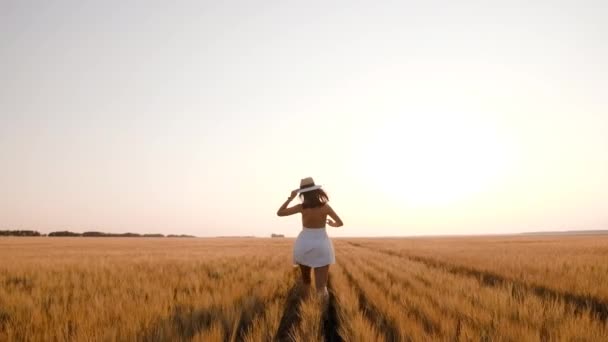 Jovem feliz e livre corre em câmera lenta pelo campo, tocando espigas de trigo com a mão. Campo de trigo no fundo por do sol — Vídeo de Stock