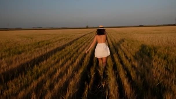 Gelukkige vrije jonge vrouw rent in slow motion door het veld, het aanraken van oren van tarwe met haar hand. Tarweveld op achtergrond zonsondergang — Stockvideo