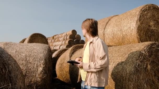 Landwirt Agronom überprüft Heuballen auf dem Weizenfeld nach der Ernte bei Sonnenuntergang. Geschäftsinhaber schaut in Tablette in Feldweizen. Smart-Farming-Technologie. Heuballen stapeln sich in großen Stapeln — Stockvideo