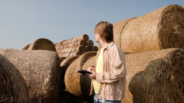 Agrónomo agricultor comprueba fardos de heno en el campo de trigo después de la cosecha al atardecer. El dueño del negocio mira en la tableta en el trigo de campo. Tecnología agrícola inteligente. Las balas de heno son pilas grandes — Vídeos de Stock