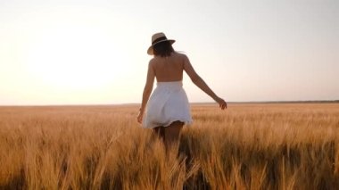 Mutlu özgür genç kadın dans ediyor ve tarlada ağır çekimde dönüyor, elleriyle buğday kulaklarına dokunuyor. Günbatımı arkaplanındaki buğday alanı
